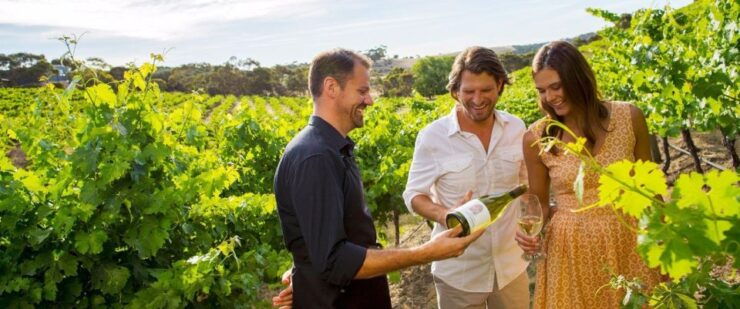 Niagara-On-The-Lake: Bicycle Tour With Wine Tasting - Activity Details