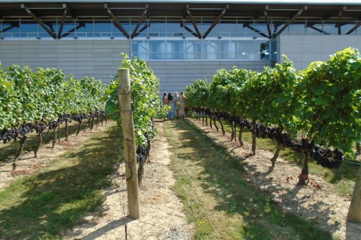 Niagara-on-the-Lake/Niagara Falls: Private Custom Day Trip - Booking and Logistics Details