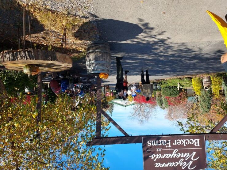 Niagara, USA: Winery Tour and Tasting - Activity Details
