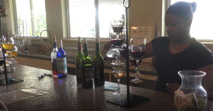 Niagara, USA: Winery Tour and Tasting - Experience