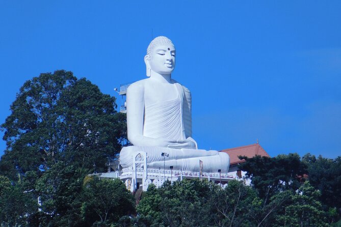 Nice 10 Days Tour in Sri Lanka - Inclusions: Private Transportation, Meeting and Pickup Services