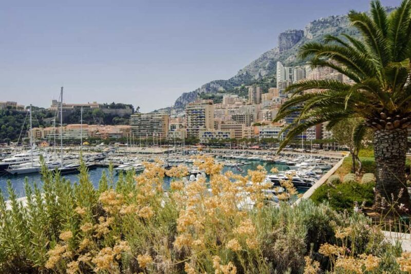 Nice: 2-hour Best Intro Walking Tour with a Local - Final Thoughts