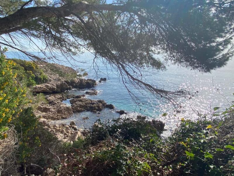 Nice: A Day in the Countryside from Glamour to Authenticity - FAQ