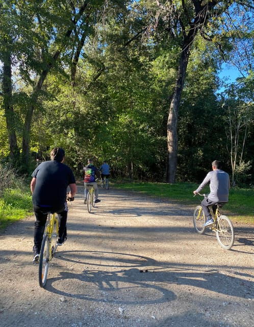 Nice: Adventure Park in an Exceptional Natural Setting - Visitor Recommendations