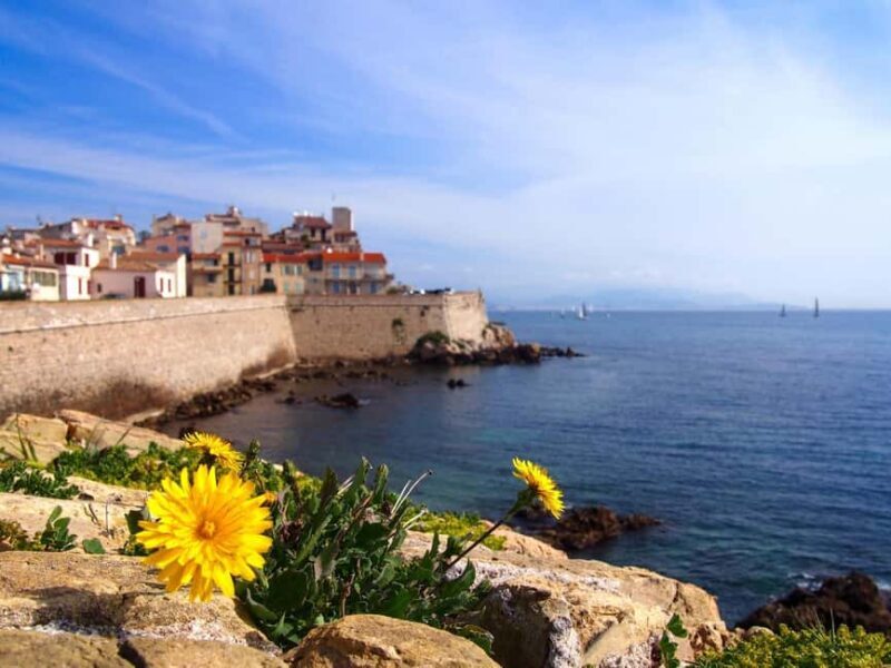 Nice: Antibes, Cannes & Saint-Paul-de-Vence Private Tour - Who Should Consider This Tour?