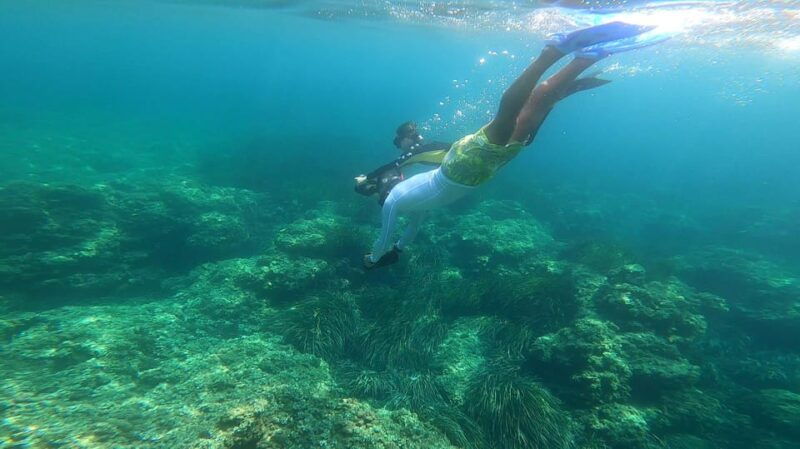 Nice, Beaulieu Sur Mer: Sea Scooter Snorkeling Tour - Overview of the Sea Scooter Snorkeling Tour