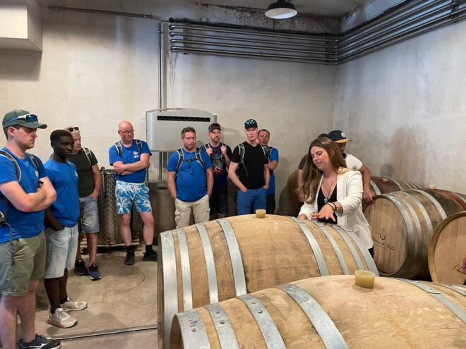 Nice: Bellet Vineyards E-Bike Tour With Wine Tasting - Inclusions and Amenities