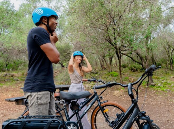 Nice: Bellet Vineyards E-Bike Tour With Wine Tasting - Tips for the Tour