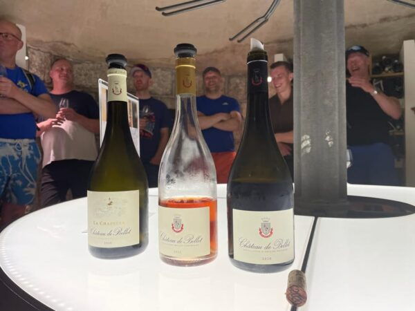 Nice: Bellet Vineyards E-Bike Tour With Wine Tasting - Exploring Nice and Beyond