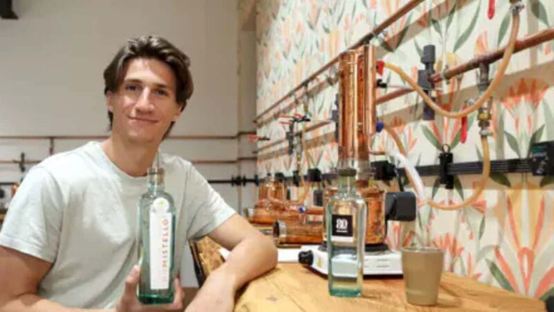 Nice: Create your own gin with a master distiller - Good To Know