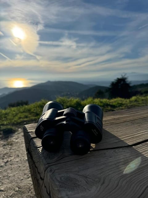 Nice: Driving Tour of the Most Beautiful Viewpoints - Saint Michel Viewpoint