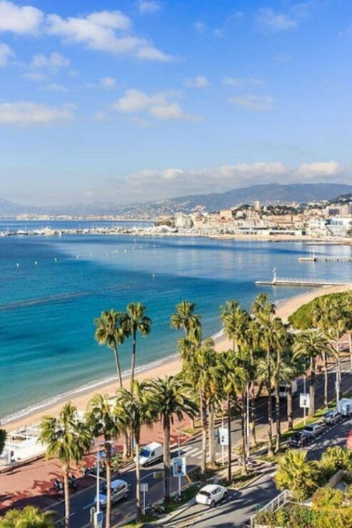 Nice: Eze, Antibes, Cannes, and Mougins Exploration Tour - Tour Highlights