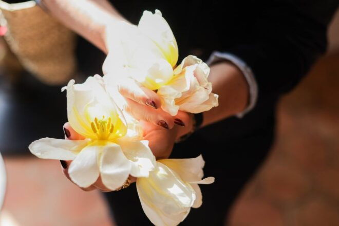Nice: French Riviera Guided Day Tour With Perfumery Visit - Experience Description