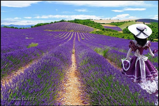 Nice: Gorges Du Verdon and Lavender Fields Tour - Tour Itinerary and Schedule