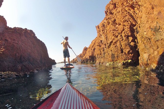 Nice Guided Stand-Up Paddleboard Half-Day Tour - Tour Overview