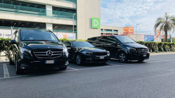 Nice Intl Airport (Nce): Private Transfer to Cannes Hotels - Highlights of the Private Transfer Experience