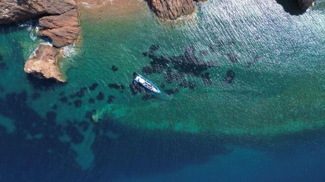 Nice: Lerins Islands Boat Tour With Snorkeling - Highlights