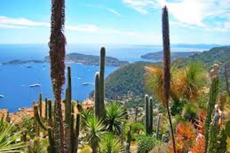 Nice Monaco & Eze Village Half-Day Cultural Tour - Monaco: old-town character and Monte Carlo name