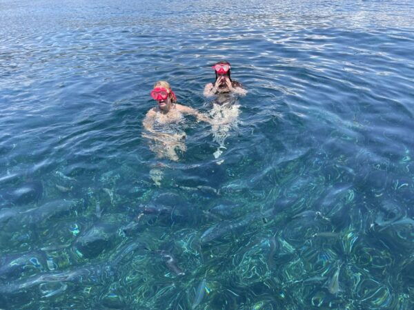 Nice: Monaco, Mala Caves, & Bay of Villefranche Boat Tour - The Sum Up
