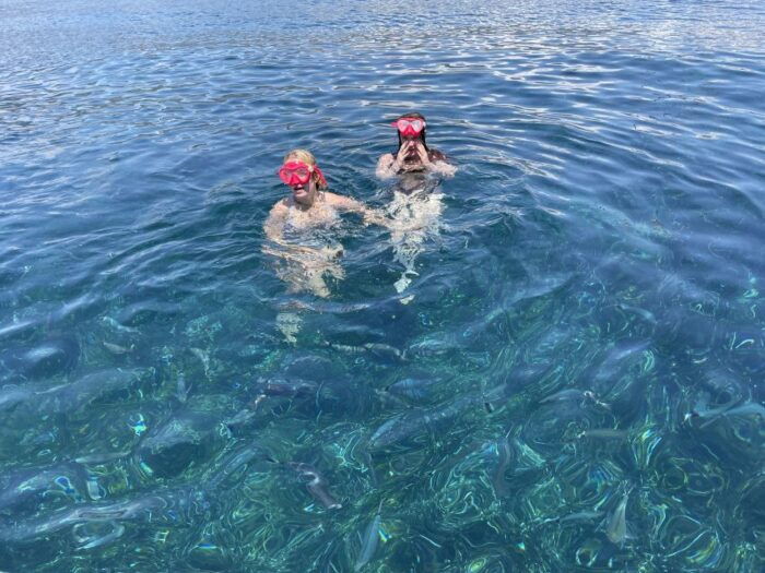 Nice: Monaco & Mala Caves Boat Trip With Snorkeling - What to Bring for the Trip