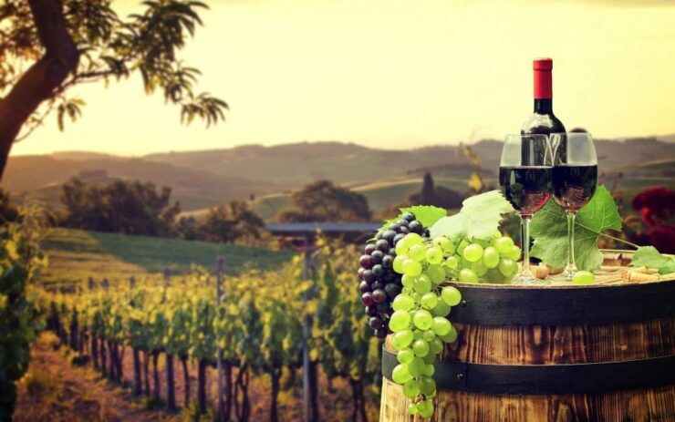 Nice: Provence Village Tour With Wine and Produce Tasting - Free Cancellation and Flexible Booking Options