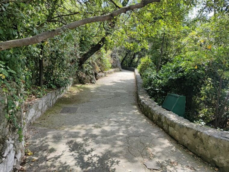 Nice: Sightseeing Walking Tour With Certified Tour Guide - Cultural Insights
