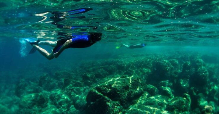 Nice: Speedboat Day Trip With Snorkeling in Villefranche Bay - Good To Know