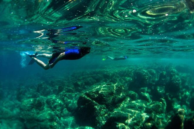 Nice: Speedboat Day Trip With Snorkeling in Villefranche Bay - Description