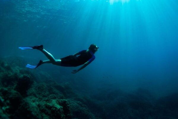 Nice: Speedboat Day Trip With Snorkeling in Villefranche Bay - The Sum Up