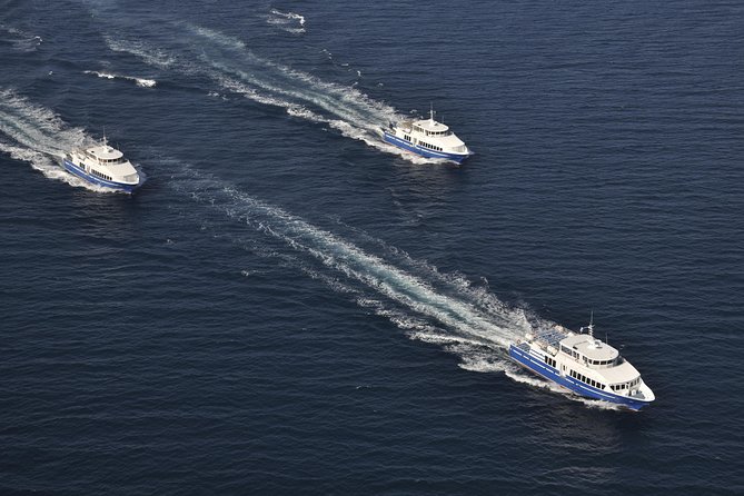 Nice to St Tropez Ferry Ticket and Cruise - Cancellation Policy