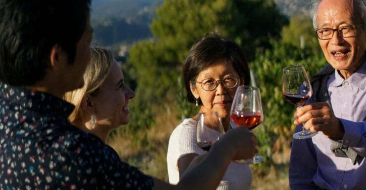 Nice: Vineyard Tour With Wine Tasting - Experience Highlights