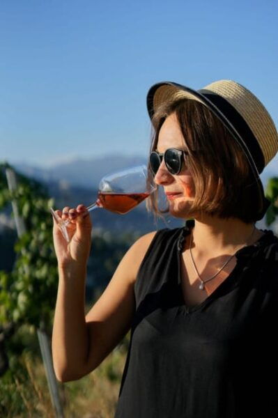 Nice: Vineyard Tour With Wine Tasting - Questions You May Have