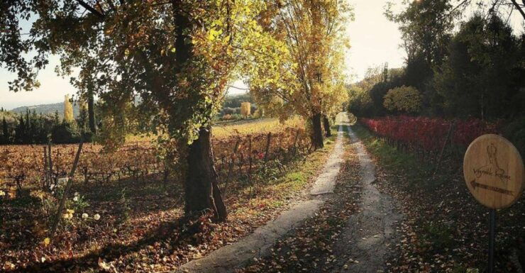 Nice: Wine Tasting Tour - Full Description