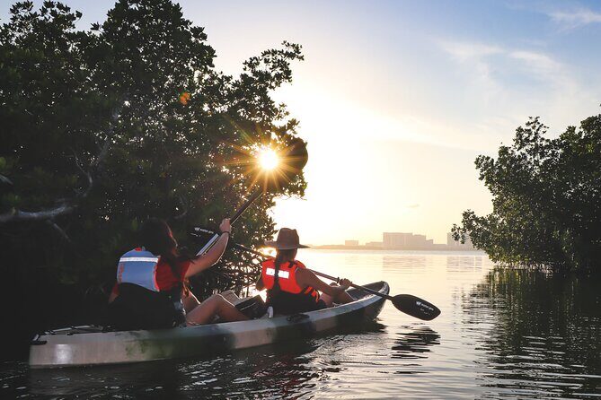 Nichupte Lagoon! Mangrove Kayaking Experience from Cancun - Good To Know