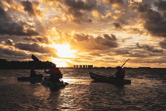 Nichupte Lagoon! Mangrove Kayaking Experience from Cancun - The Sum Up