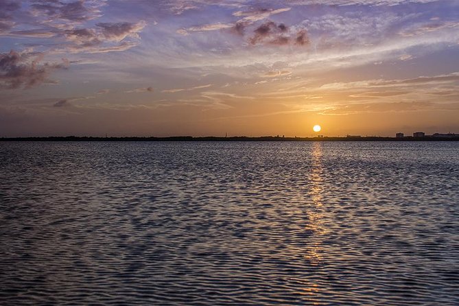 Nichupte Lagoon Wildlife Tour - Insight Into Local Flora and Fauna