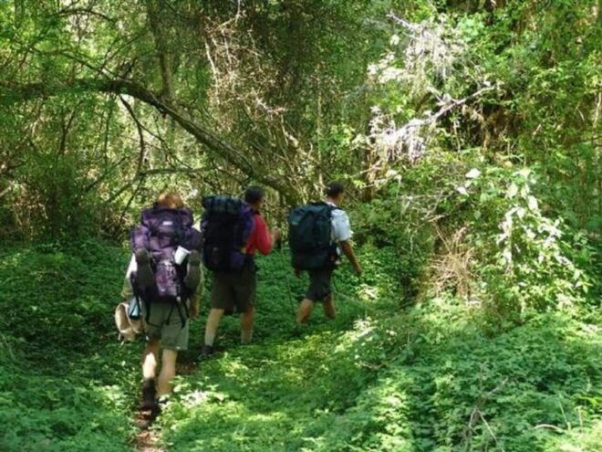 Nidangoda Ella Tour and River Hike - Important Information
