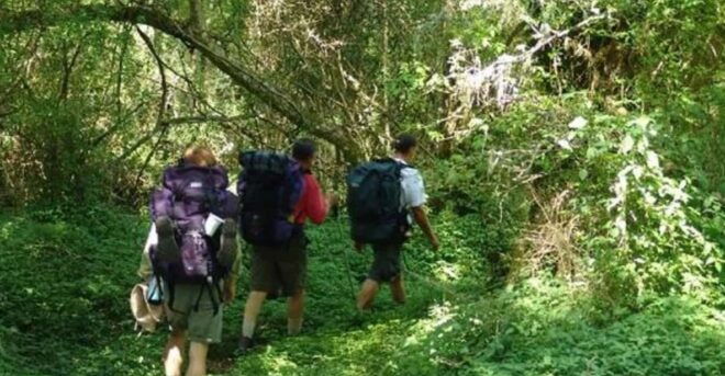Nidangoda Ella Tour and River Hike - What to Bring