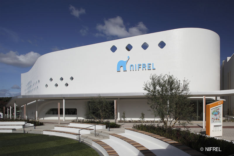 NIFREL Interactive Aquazoo E-Ticket in Osaka - Is $15.15 good value?
