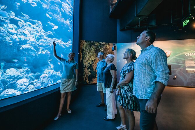 Night at the Aquarium Tour - Tour Highlights