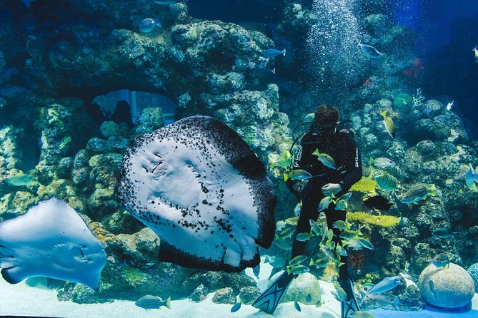 Night at the Aquarium Tour - Booking and Assistance