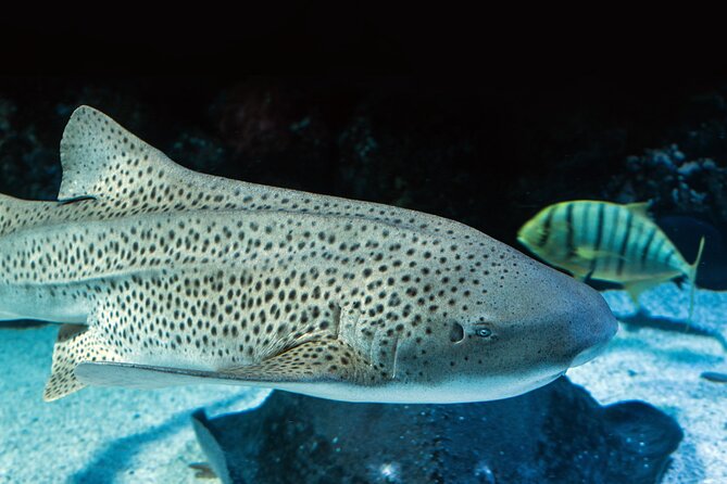 Night at the Aquarium Tour - Tour Directions and Location