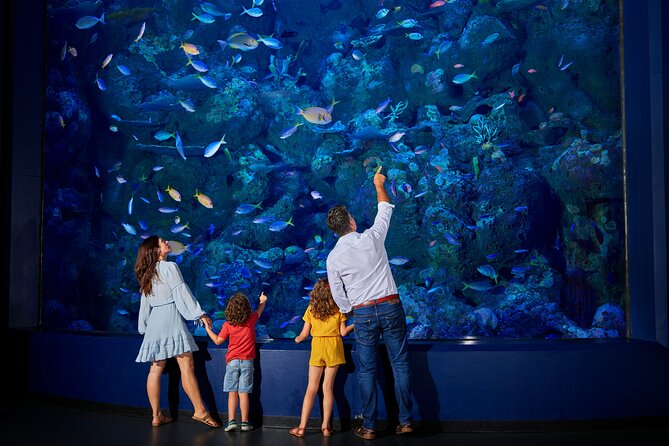 Night at the Aquarium Tour - Common Questions