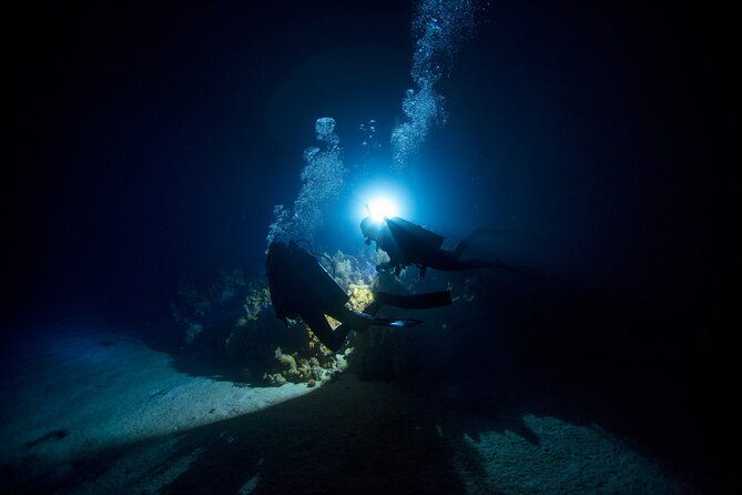 Night Dive Adventure in Oahu - Good To Know