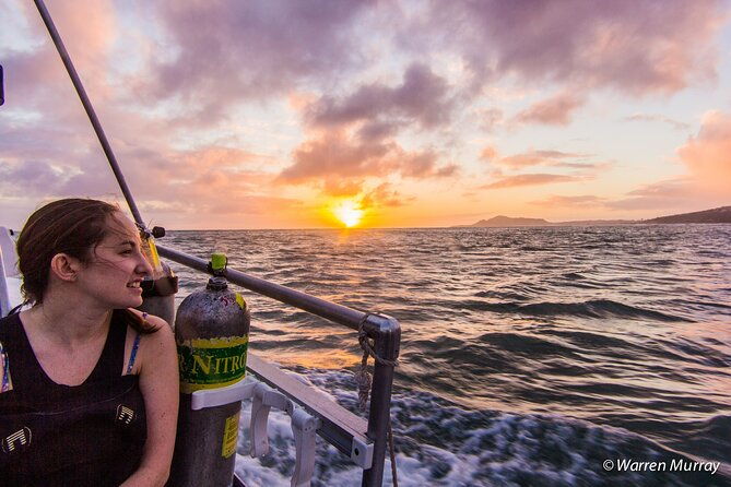 Night Dive Adventure in Oahu - Why We Love the Night Dive Experience in Oahu