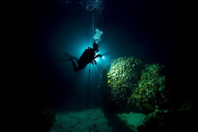 Night dive at Tugboat Beach in Curacao - Good To Know