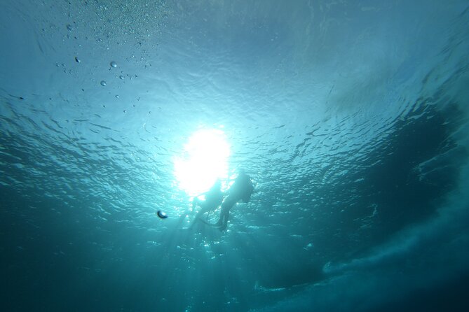 Night Diving At Caribbean Sea - Logistics and Services