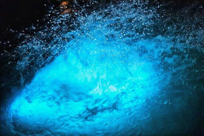 Night Excursion Experience at Luminous Lagoon - An In-Depth Look at the Luminous Lagoon Night Tour