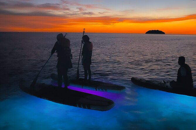 Night Glow Stand Up Paddle Experience in Kota Kinabalu - Pickup Information