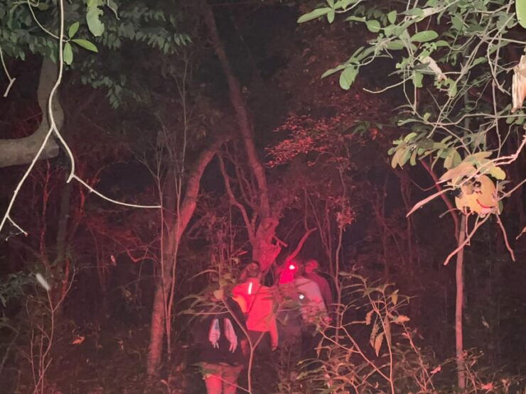 Night Hike to See Elusive & Rare Loris in Sigiriya - Spotting the Rare Loris